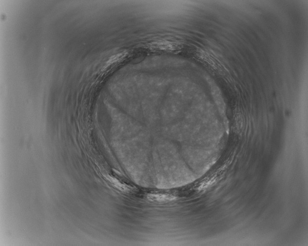 X0000060551297200511241215