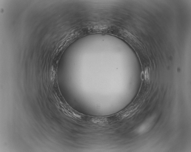 X0000060551299200511241215