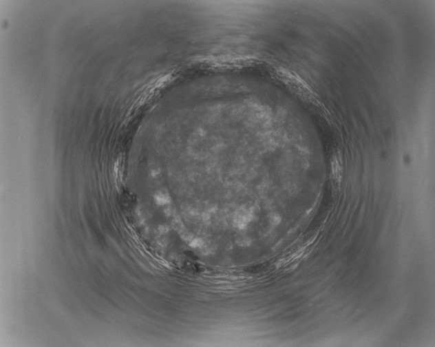 X0000060551300200511241215