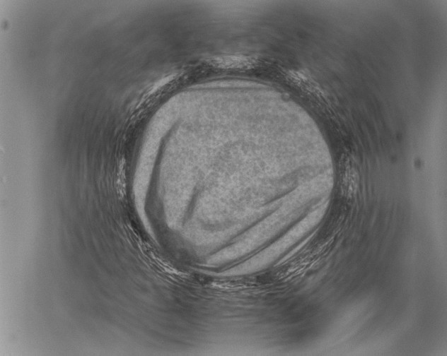 X0000060551301200511241215