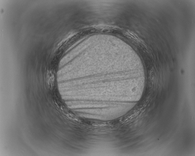 X0000060551302200511241215