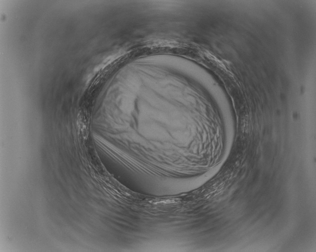 X0000060551303200511241215