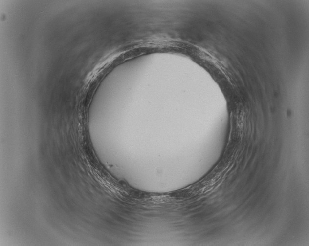 X0000060551304200511241215