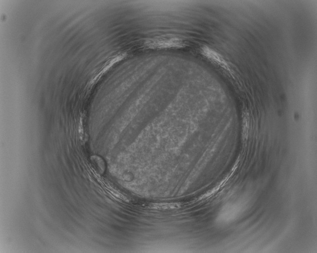 X0000060551305200511241215