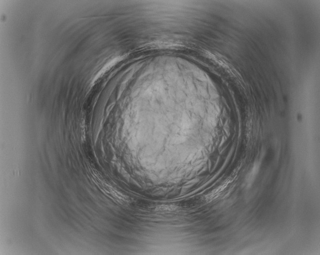 X0000060551306200511241215