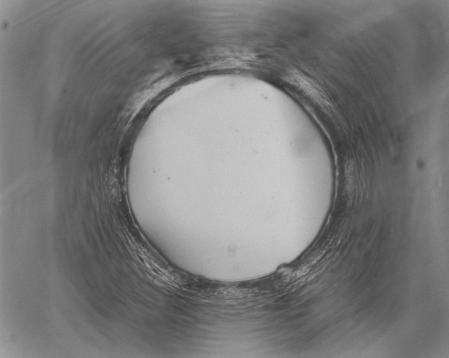 X0000060551308200511241215