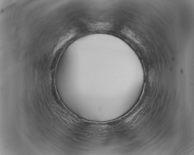 X0000060551309200511241215