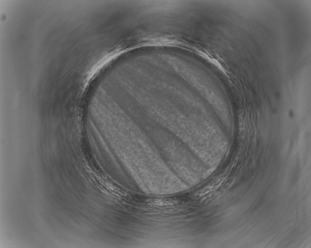 X0000060551311200511241215