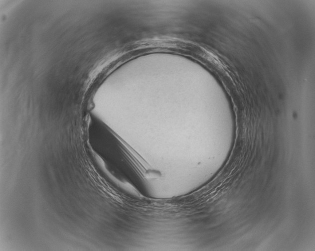 X0000060551312200511241215