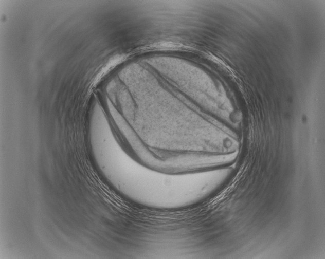 X0000060551314200511241215