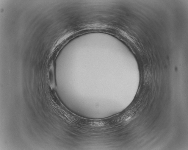 X0000060551315200511241215