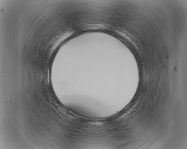 X0000060551317200511241215