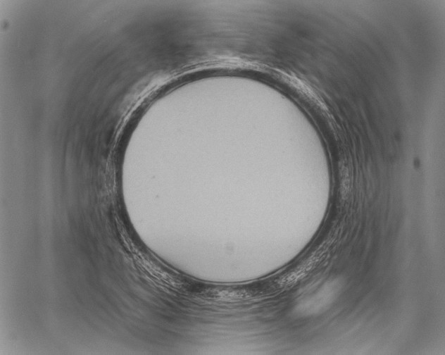 X0000060551318200511241215