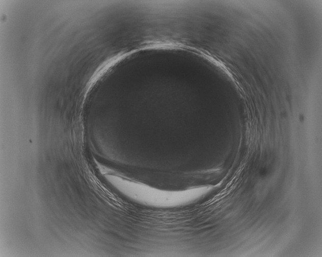 X0000060551319200511241215