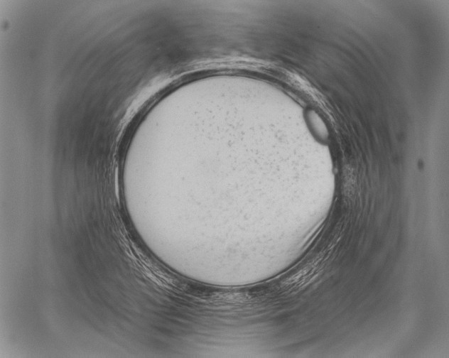 X0000060551320200511241215