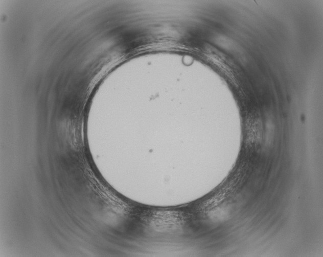 X0000060551322200511241215