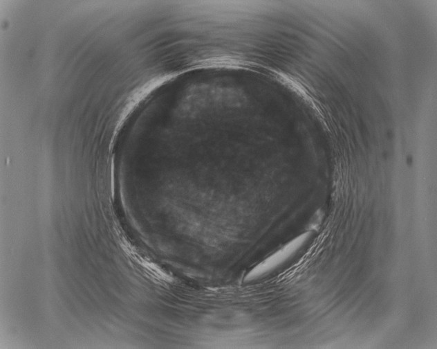 X0000060551323200511241215