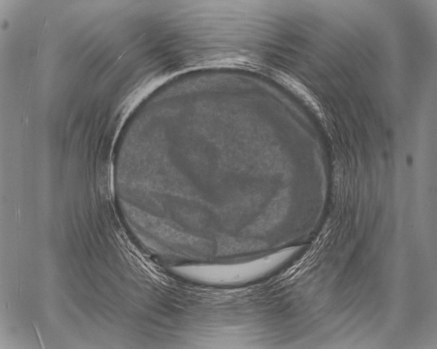 X0000060551324200511241215