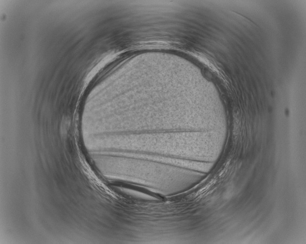 X0000060551325200511241215