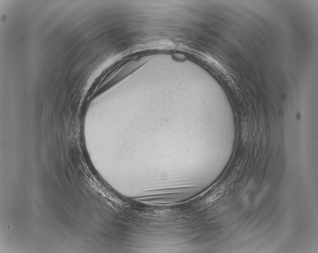 X0000060551326200511241215