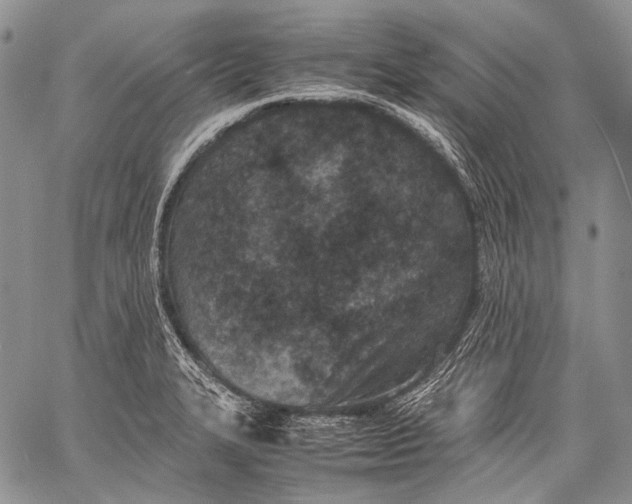 X0000060551327200511241215