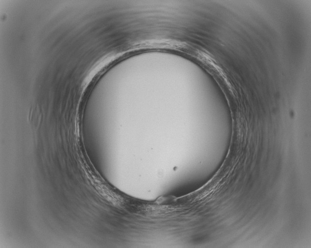 X0000060551328200511241215