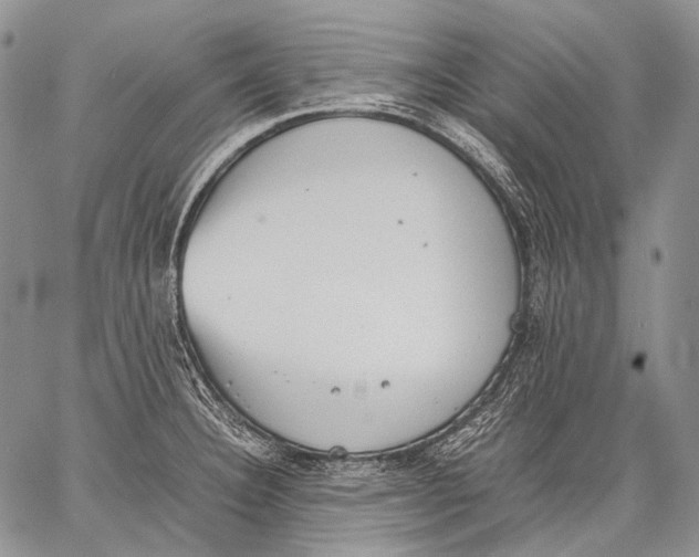 X0000060551332200511241215