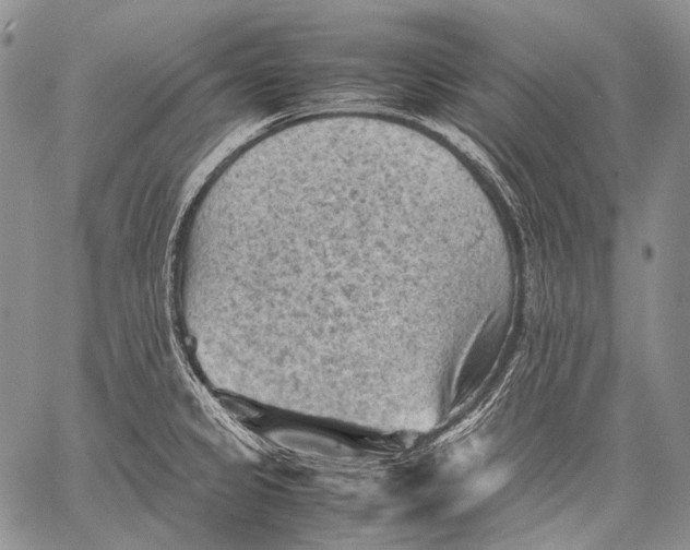 X0000060551333200511241216