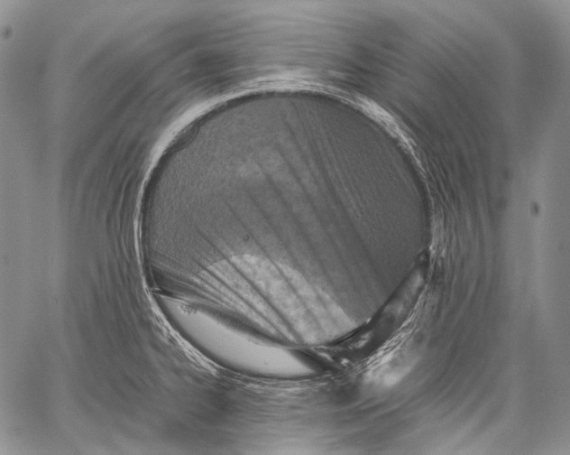 X0000060551334200511241216