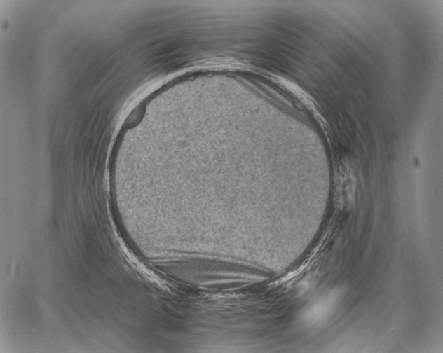 X0000060551335200511241216