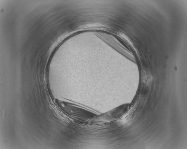 X0000060551336200511241216