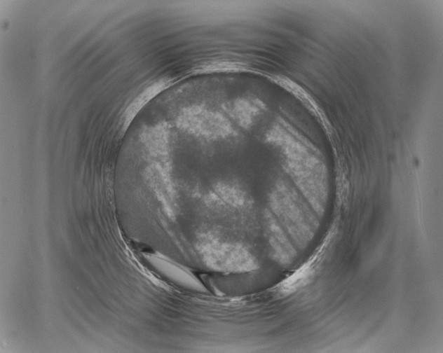 X0000060551337200511241216