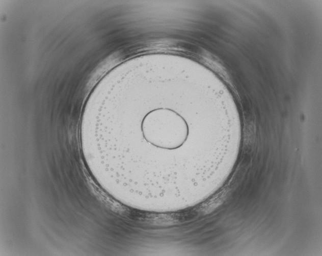 X0000060551338200511241216