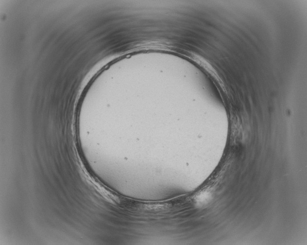 X0000060551339200511241216