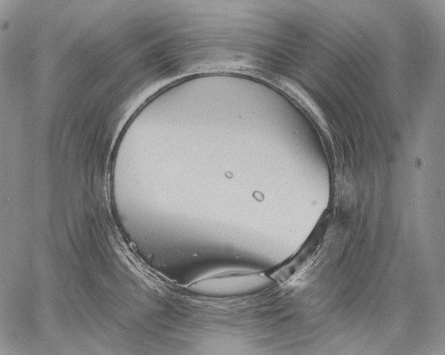 X0000060551340200511241216