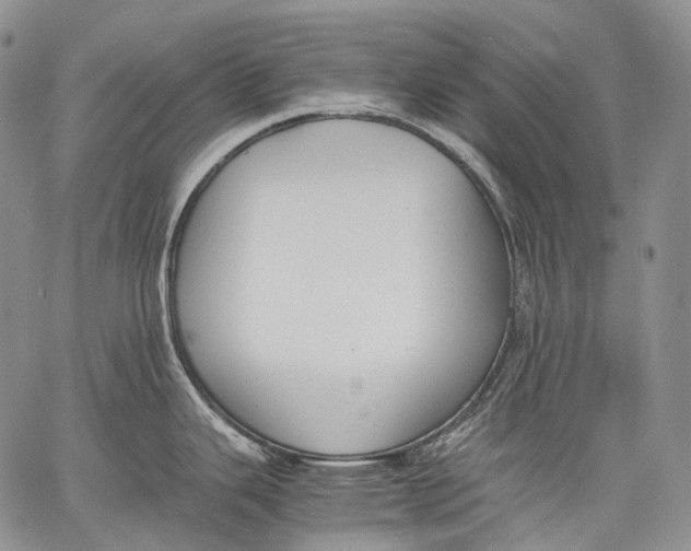 X0000060551343200511241216