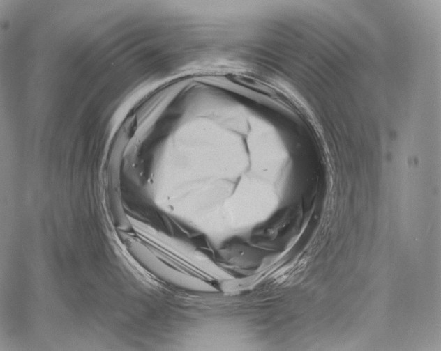 X0000060551344200511241216