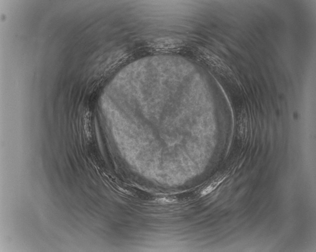 X0000060551346200511241215