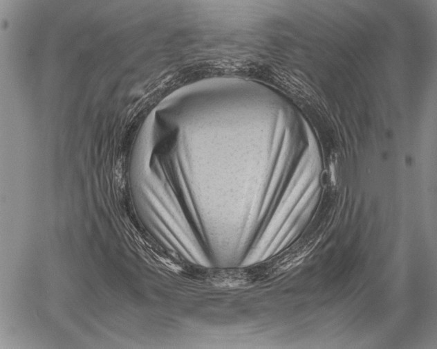 X0000060551347200511241215