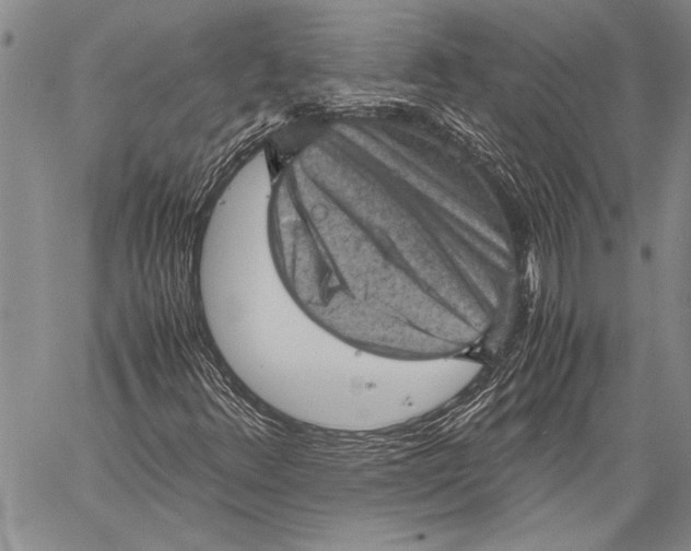 X0000060551348200511241215