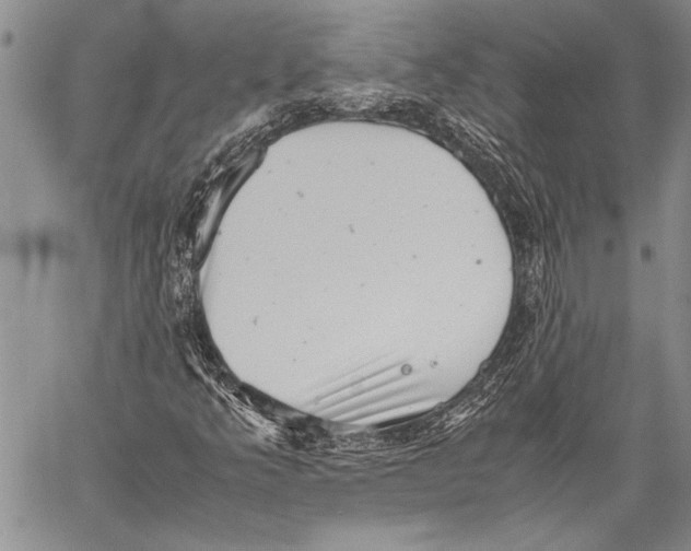 X0000060551349200511241215