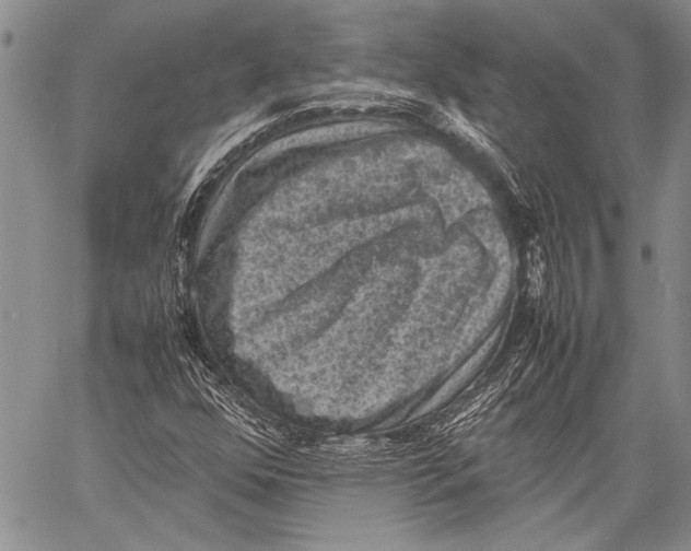 X0000060551352200511241215