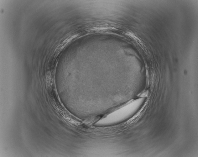 X0000060551353200511241215