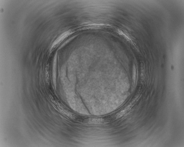 X0000060551354200511241215