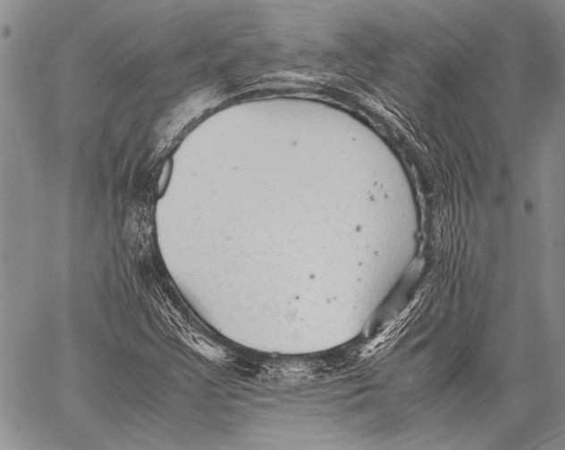 X0000060551355200511241215