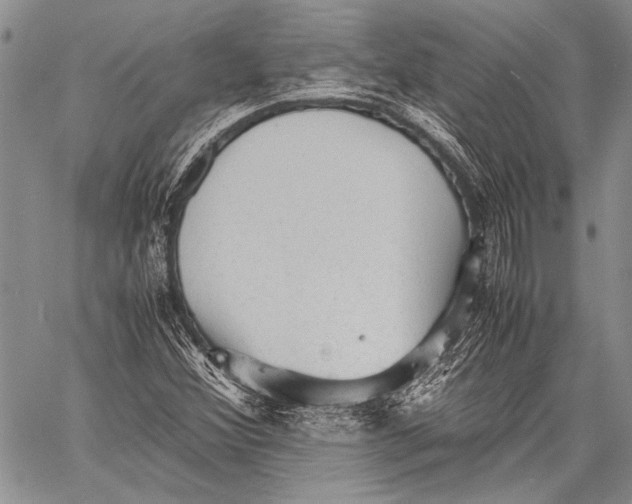 X0000060551356200511241215