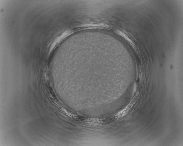 X0000060551357200511241215