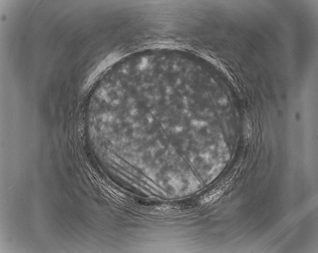 X0000060551359200511241215