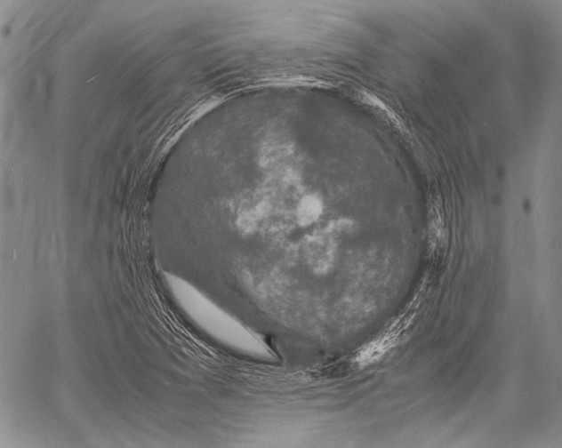 X0000060551361200511241215