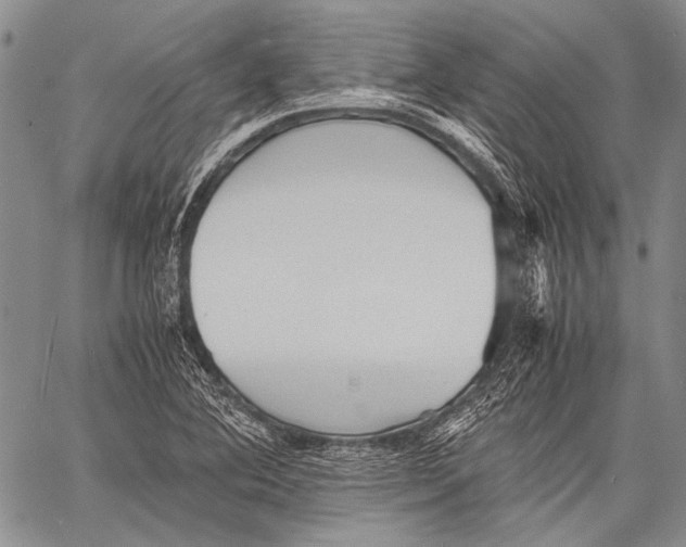 X0000060551364200511241215